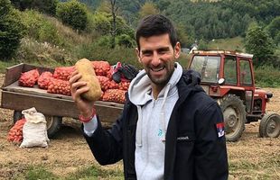 GALERIE FOTO Marele Novak Djokovic, la recoltat cartofi! » Două campioane mondiale din România l-au imitat