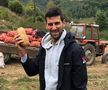 GALERIE FOTO Marele Novak Djokovic, la recoltat cartofi! » Două campioane mondiale din România l-au imitat