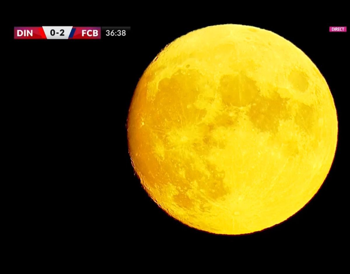 Continuă criza la Dinamo! Doi „câini”, cei mai slabi în meciul cu Botoșani » Cine nu s-a făcut de râs