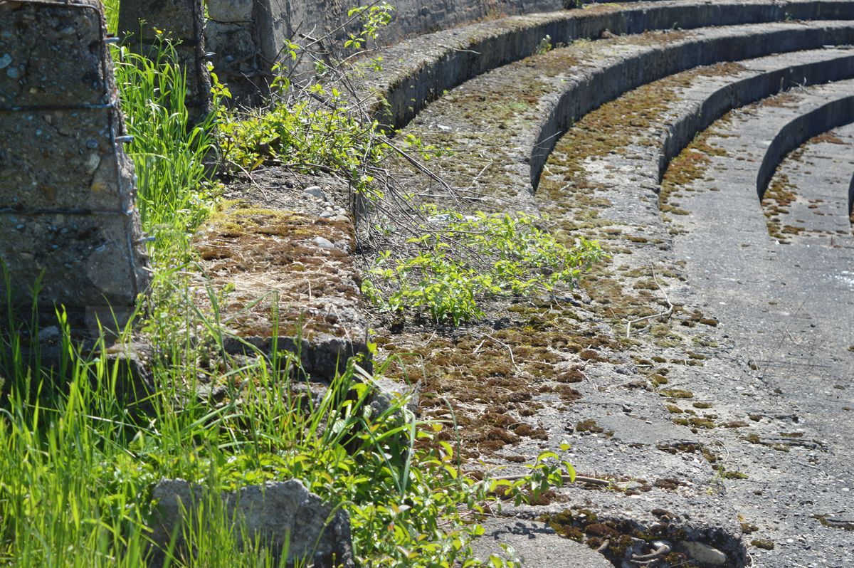 Dezolant! Așa arată acum stadionul care speria Divizia A cu „Morișca”, unde marele Real Madrid a fost ținut în șah