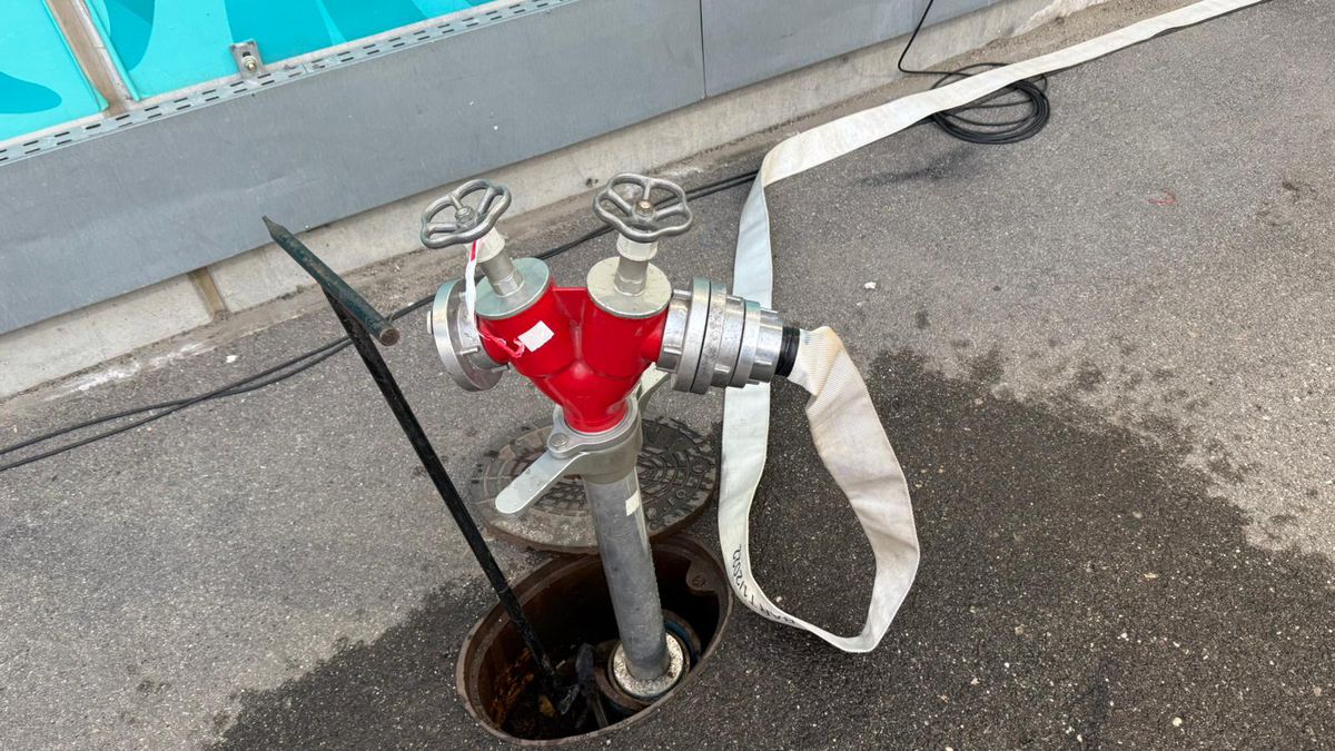 Imagini surprinse înainte de Dinamo - Rapid