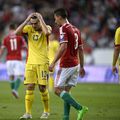 Iulian Apostol a făcut o comparație între investițiile făcute de maghiari și cele realizate în România. Sursă foto: GSP