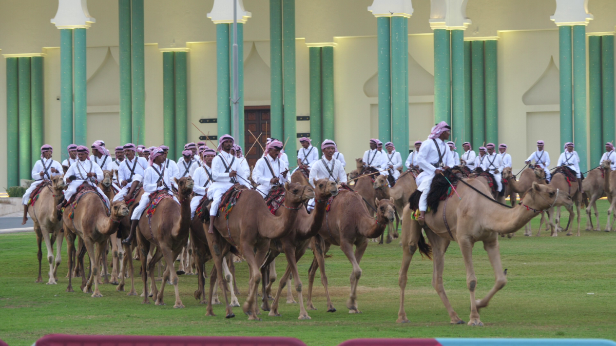 În România, cai și câini, în Qatar, cămile cu legitimație de polițist » Obiceiul prin care le mulțumesc pentru ajutor + imagini inedite surprinse de trimișii GSP