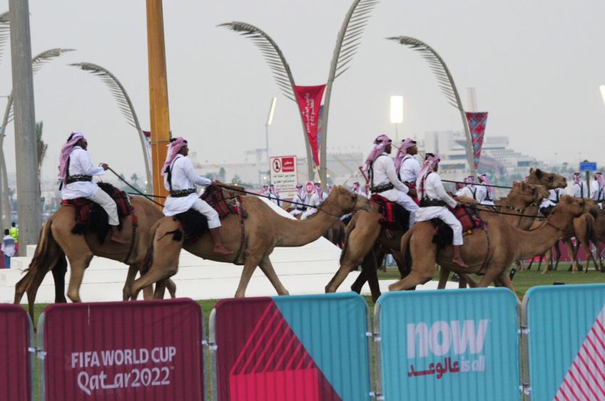 În Doha, capitala din Qatar, cămilele sunt ajutoarele Poliției