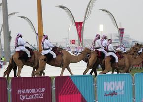 În România cai și câini, în Qatar cămile! Cadre inedite din orașul-cheie al Mondialului