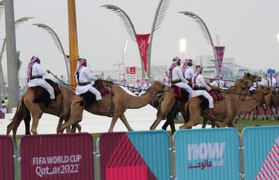 În România, cai și câini, în Qatar, cămile cu legitimație de polițist » Obiceiul prin care le mulțumesc pentru ajutor + imagini inedite surprinse de trimișii GSP