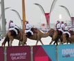 În Doha, capitala din Qatar, cămilele sunt ajutoarele Poliției