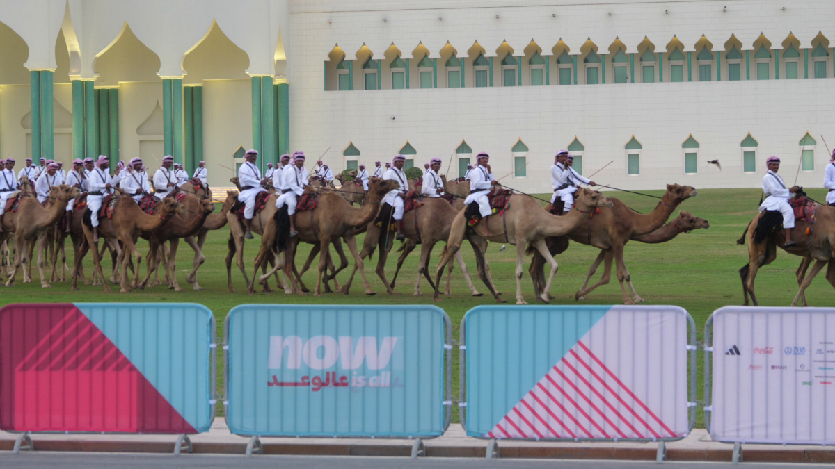 În România, cai și câini, în Qatar, cămile cu legitimație de polițist » Obiceiul prin care le mulțumesc pentru ajutor + imagini inedite surprinse de trimișii GSP