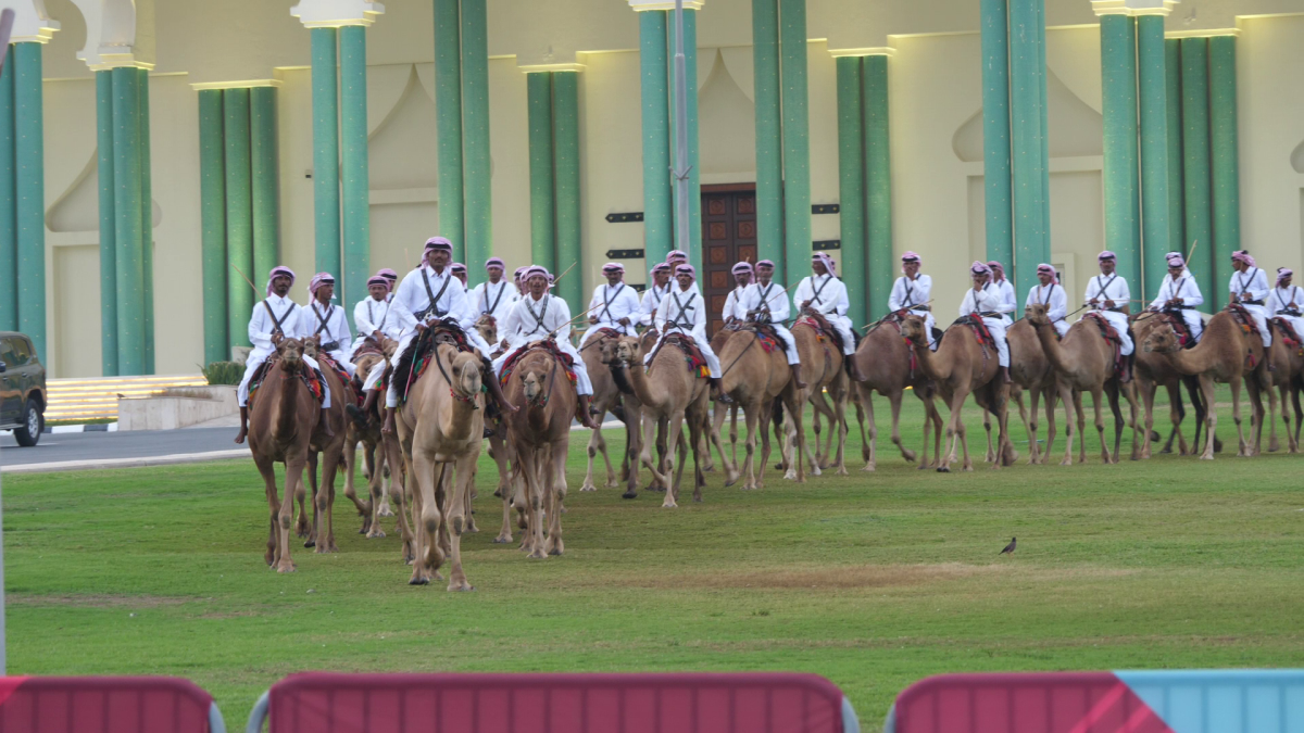 În România, cai și câini, în Qatar, cămile cu legitimație de polițist » Obiceiul prin care le mulțumesc pentru ajutor + imagini inedite surprinse de trimișii GSP