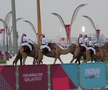 Cămilele sunt ajutoarele Poliției în Qatar
