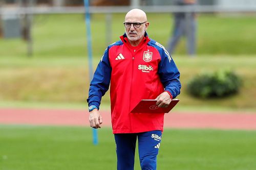 Luis de la Fuente, foto: Imago Images