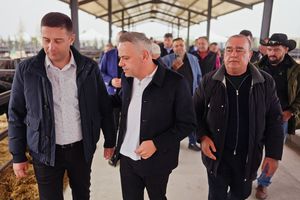 Gigi Nețoiu s-a mutat la o fermă cu 1.300 de vaci » Care sunt afacerile fostului acționar de la Dinamo: „M-am născut într-o zonă foarte bogată”