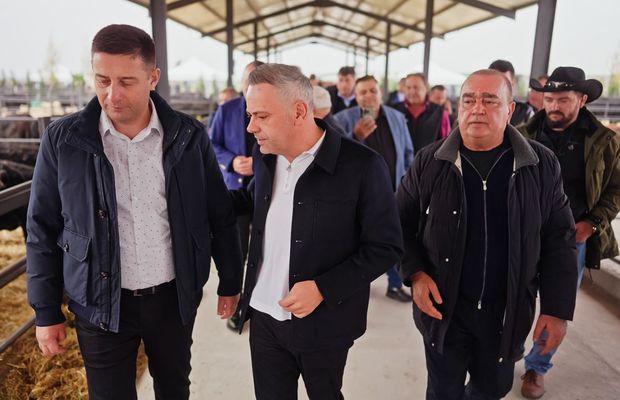 Gigi Nețoiu s-a mutat la o fermă cu 1.300 de vaci » Care sunt afacerile fostului acționar de la Dinamo: „M-am născut într-o zonă foarte bogată”