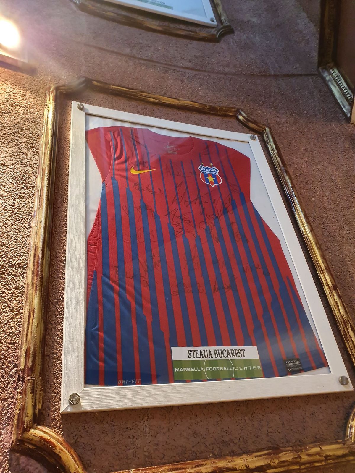 FCSB, în hall of fame-ul Marbella Football Center » Ce au văzut steliștii înainte de amical