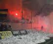 Petrolul - Dinamo, 20.01.2024/ foto Raed Krishan (GSP)