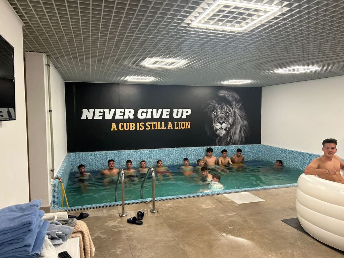 Proiect Voința Crevedia