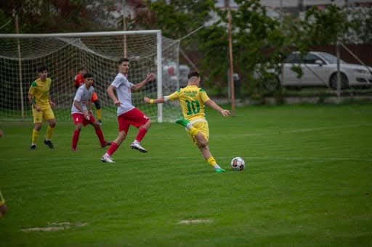 Proiect Voința Crevedia