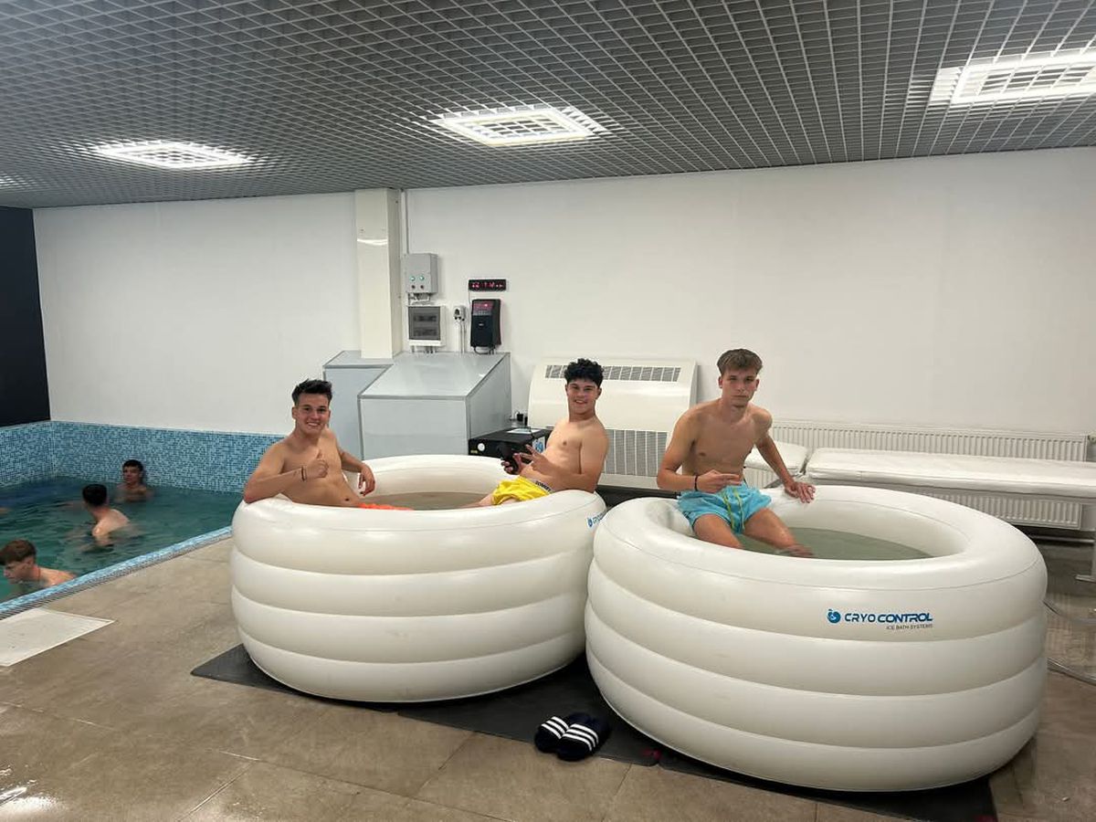 Proiect Voința Crevedia