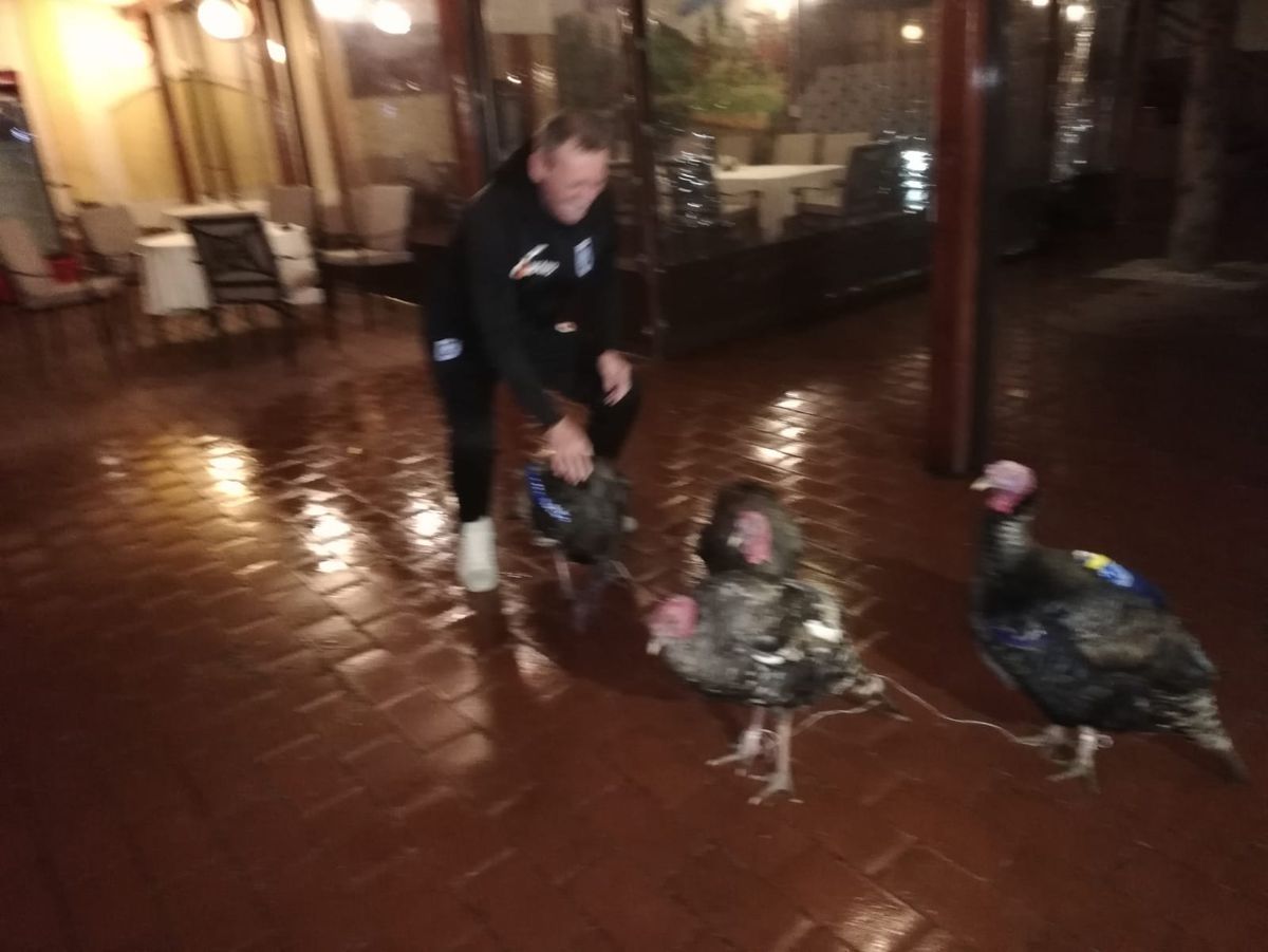 VIDEO+FOTO Umor oltenesc :D Imagini geniale: Craioveanu a primit 4 curcani plocon de la Jerry Gane!