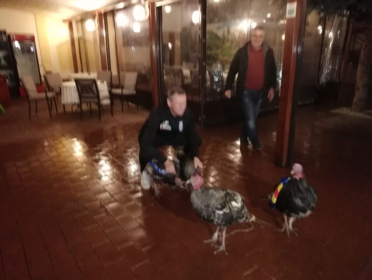 VIDEO+FOTO Umor oltenesc :D Imagini geniale: Craioveanu a primit 4 curcani plocon de la Jerry Gane!