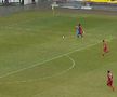 Faze controversate în Chindia - FC Botoșani
