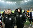 Ce s-a întâmplat pe gazon, imediat după FCSB - PAOK