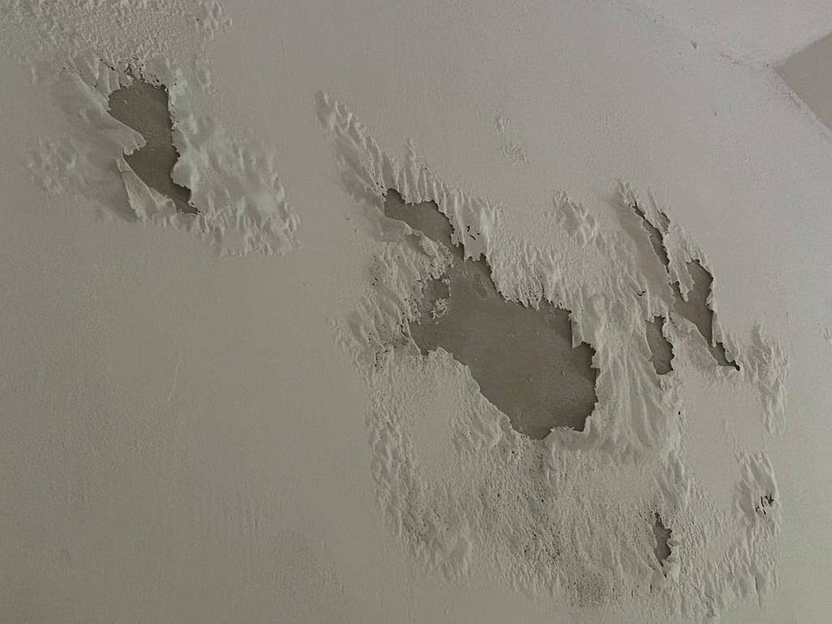 Imagini de la ACS Mediaș / foto: Facebook Suporteri Gaz Metan Mediaș