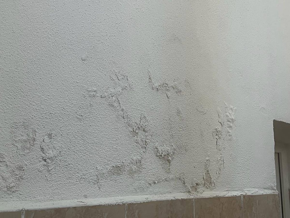 Imagini de la ACS Mediaș / foto: Facebook Suporteri Gaz Metan Mediaș