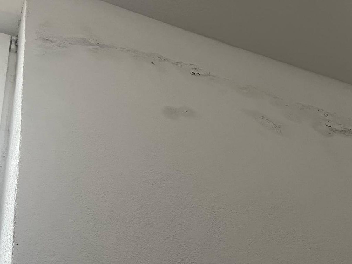 Imaginile dezastrului! Fostul club din Liga 1, care juca în Europa League acum 13 ani, pe marginea prăpastiei » Apelul disperat al fanilor