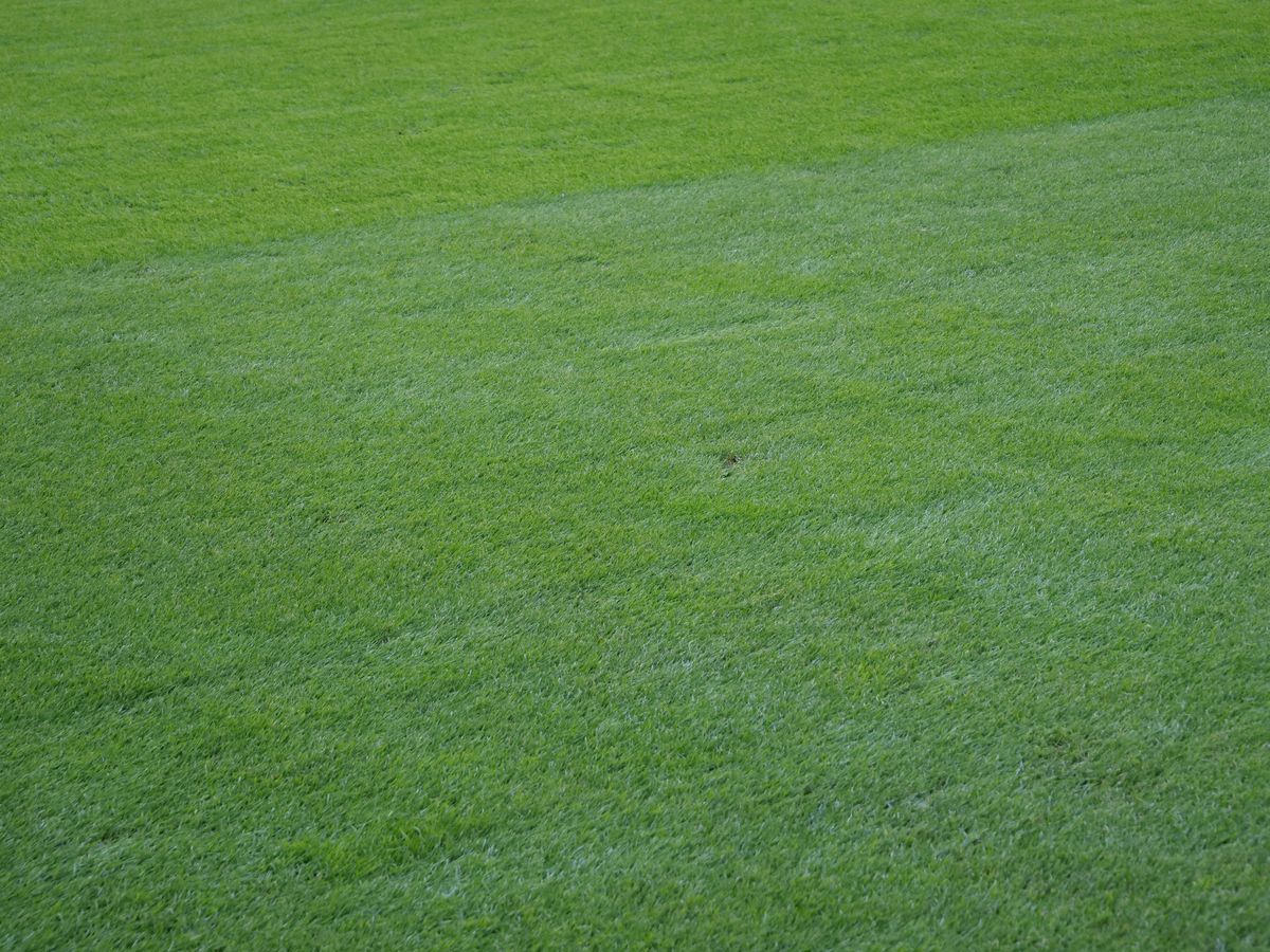 Imagini de ultimă oră de la Arena Națională » Gazonul arată IMPECABIL, Mihai Stoica s-a întors la „munca de jos”, dar a renunțat la lopată. Cum a fost surprins azi