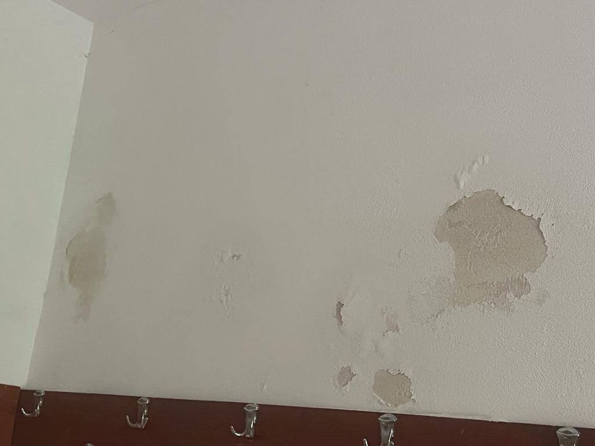 Imagini de la ACS Mediaș / foto: Facebook Suporteri Gaz Metan Mediaș