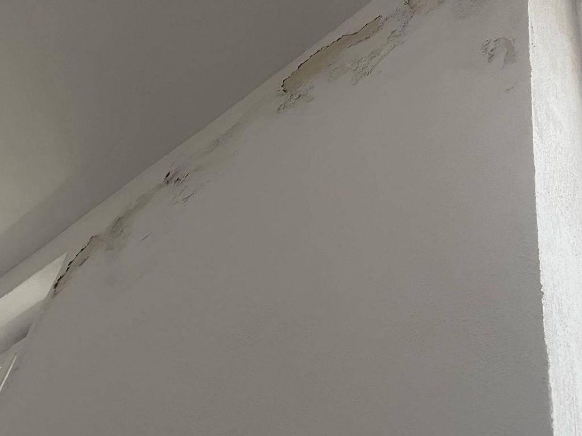 Imagini de la ACS Mediaș / foto: Facebook Suporteri Gaz Metan Mediaș