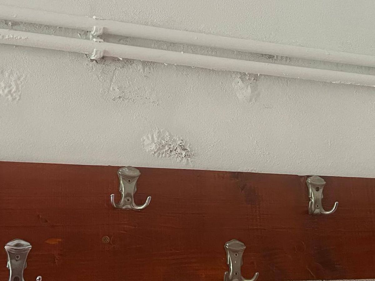 Imagini de la ACS Mediaș / foto: Facebook Suporteri Gaz Metan Mediaș