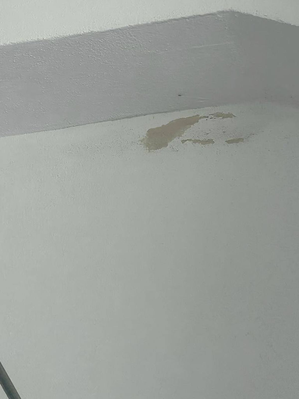 Imaginile dezastrului! Fostul club din Liga 1, care juca în Europa League acum 13 ani, pe marginea prăpastiei » Apelul disperat al fanilor