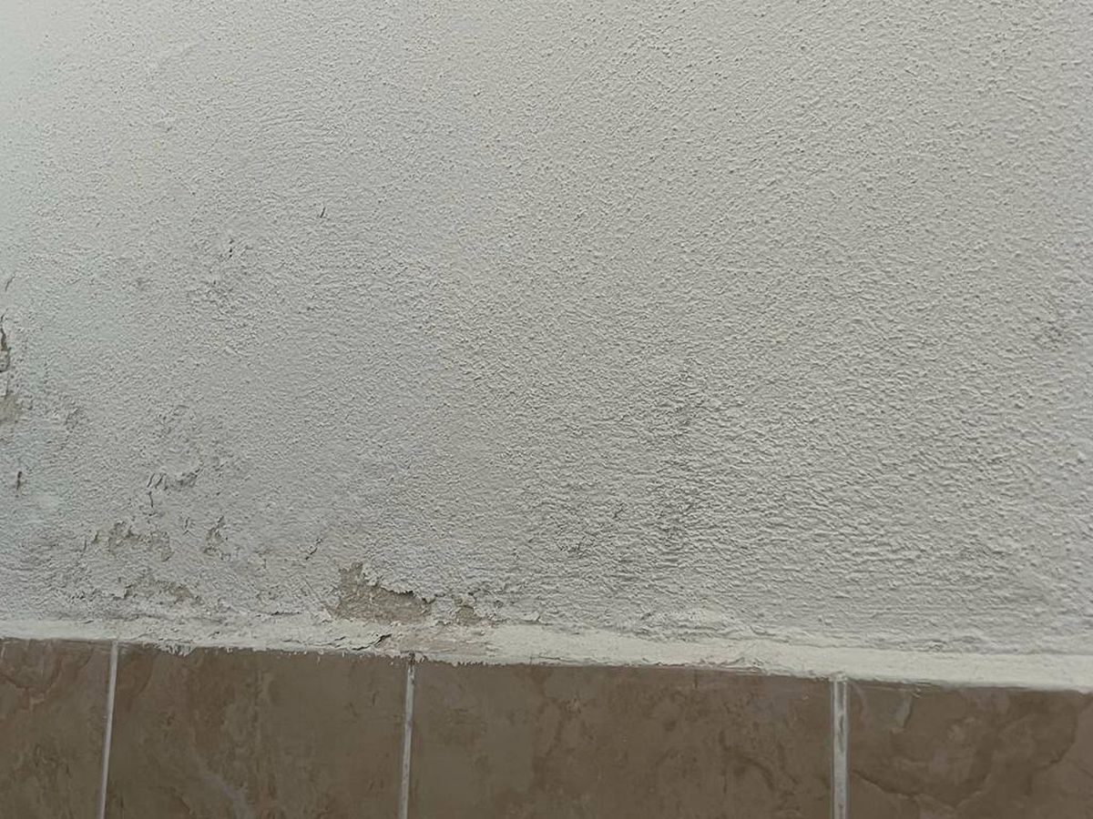 Imagini de la ACS Mediaș / foto: Facebook Suporteri Gaz Metan Mediaș