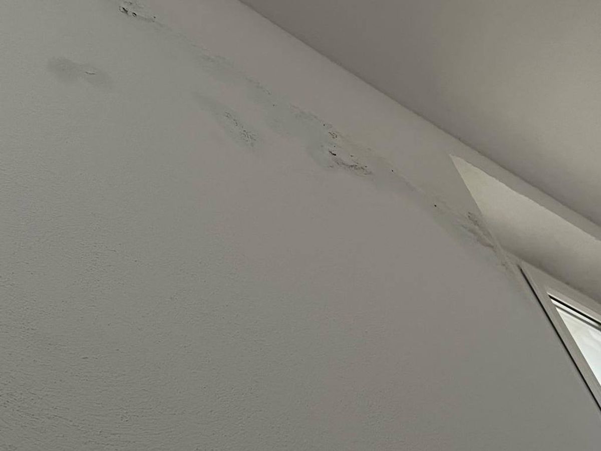 Imaginile dezastrului! Fostul club din Liga 1, care juca în Europa League acum 13 ani, pe marginea prăpastiei » Apelul disperat al fanilor