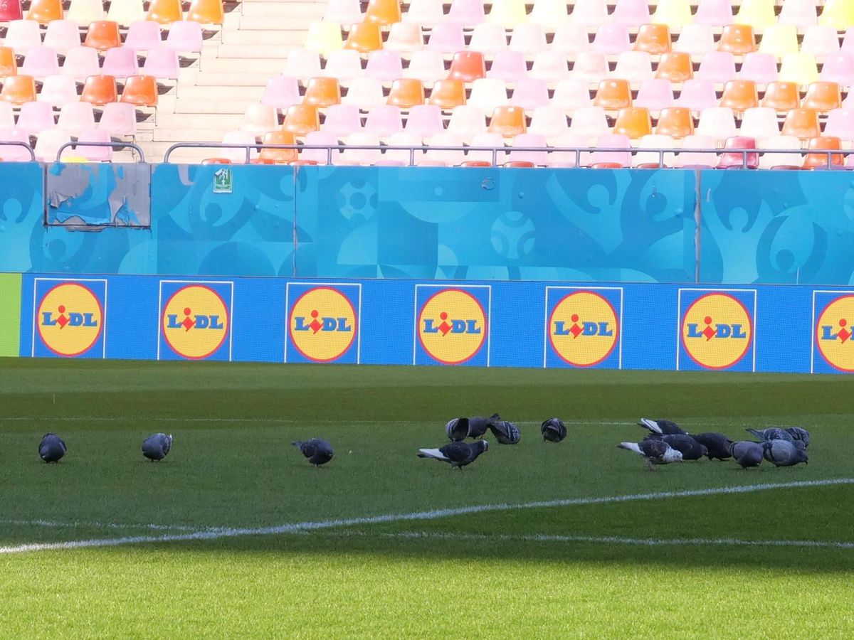 Imagini de la Arena Națională, înainte de FCSB - PAOK, ora 15:00