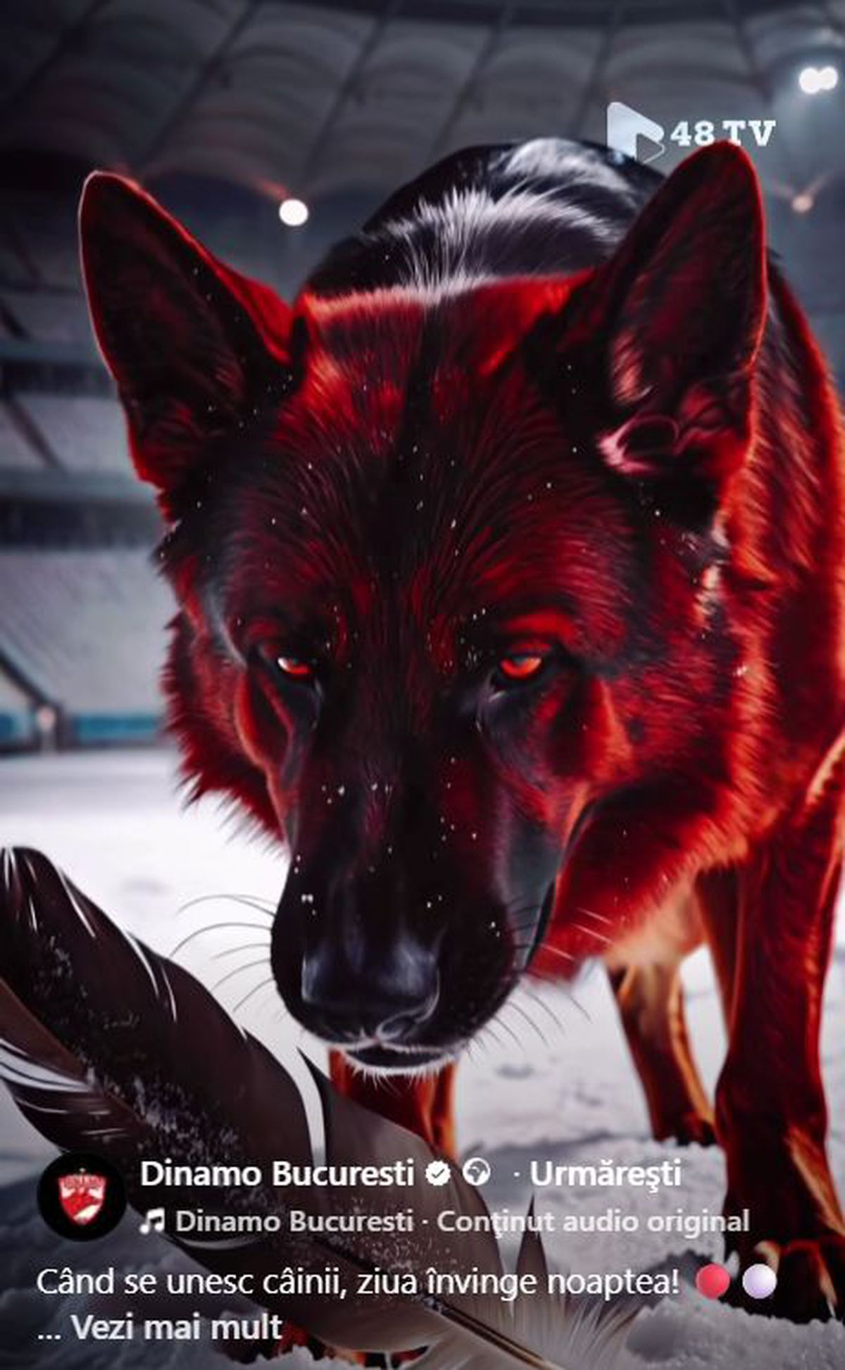 Meciul nu s-a terminat pe teren! CFR Cluj le-a răspuns dinamoviștilor printr-o postare ironică: „Misiune eșuată!”