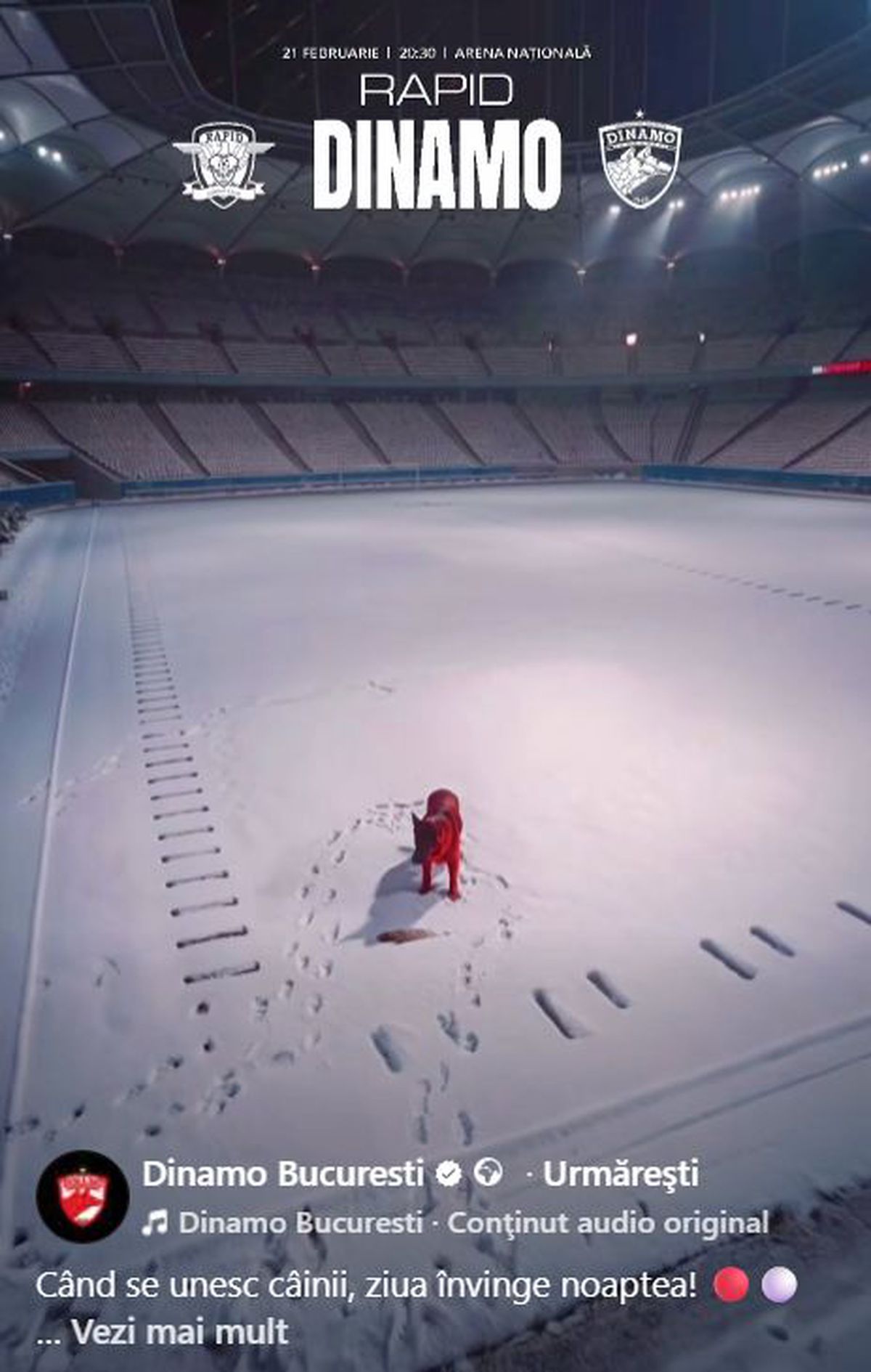 Câinele latră la pană » Dinamo, postare controversată în așteptarea meciului cu Rapid: „Ziua învinge noaptea”
