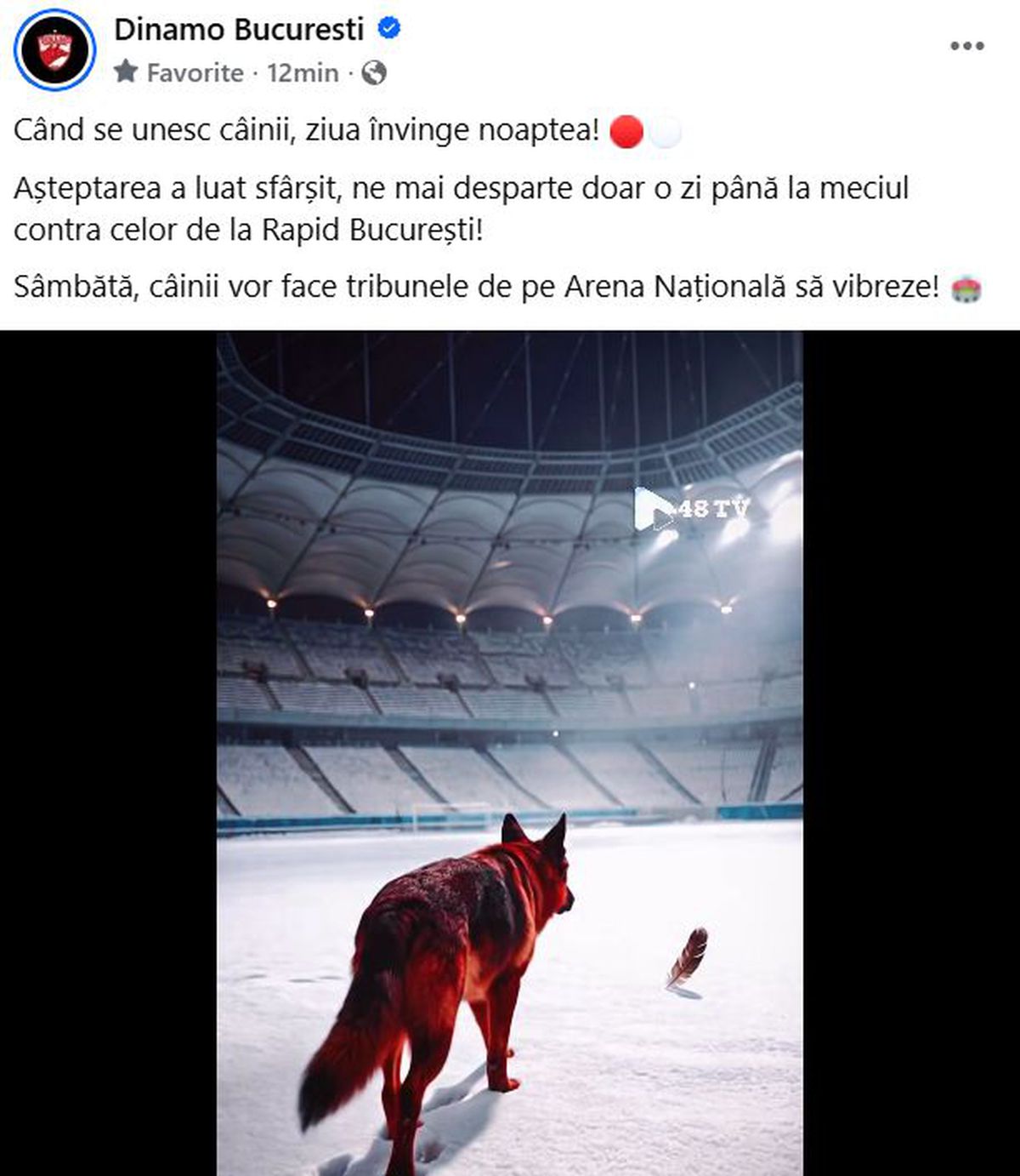 Câinele latră la pană » Dinamo, postare controversată în așteptarea meciului cu Rapid: „Ziua învinge noaptea”
