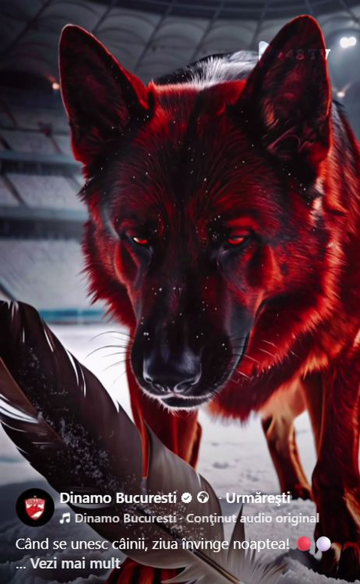 Angelescu a dat replica după videoclipul controversat postat de Dinamo: „Ciorile sunt unele dintre cele mai deștepte...”