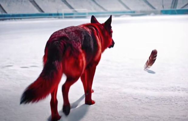 Câinele latră la pană » Dinamo, postare controversată în așteptarea meciului cu Rapid: „Ziua învinge noaptea”