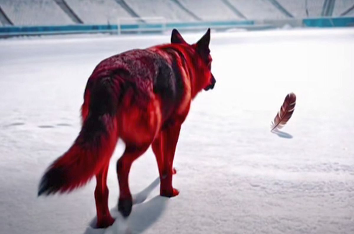 Angelescu a dat replica după videoclipul controversat postat de Dinamo: „Ciorile sunt unele dintre cele mai deștepte...”