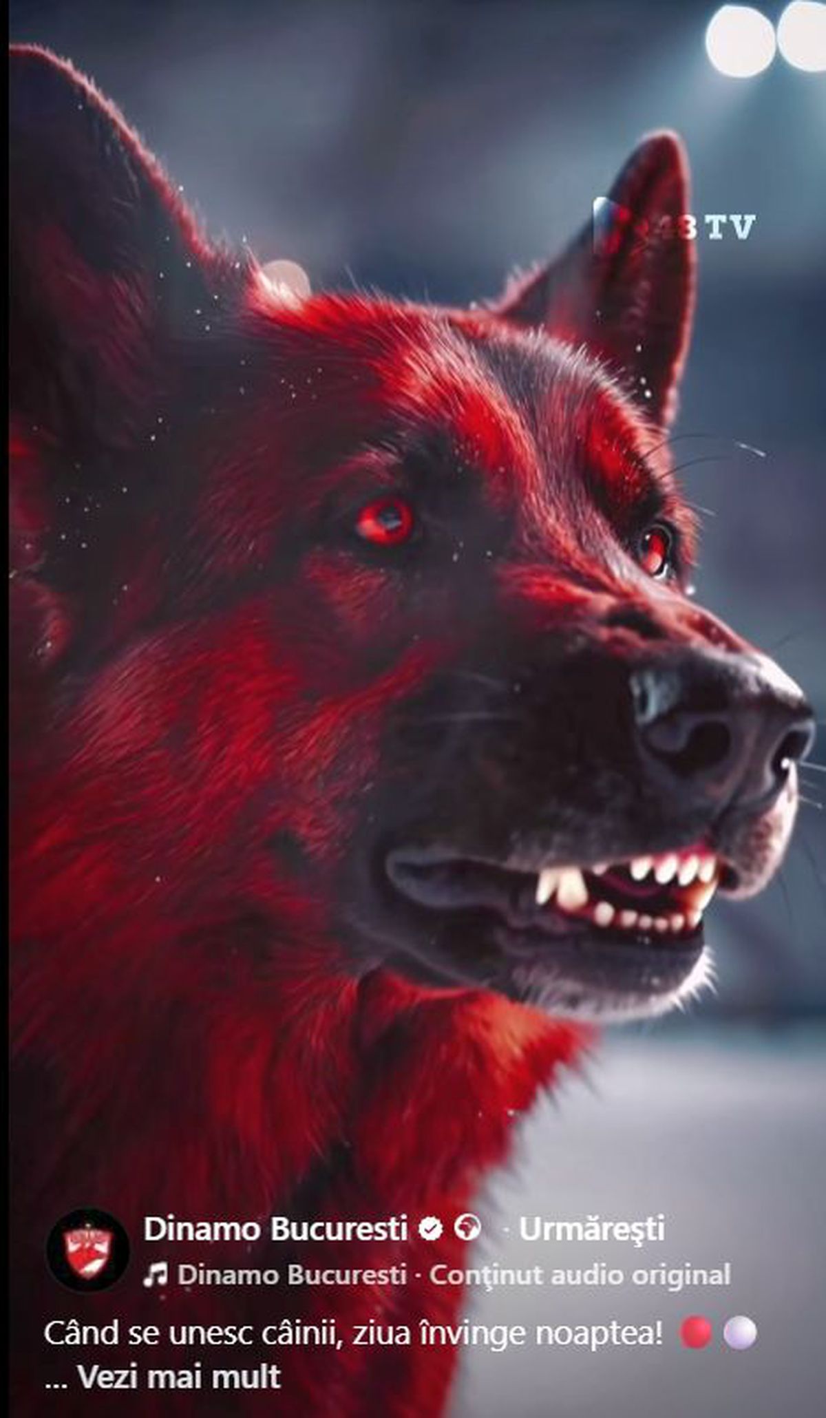 Câinele latră la pană » Dinamo, postare controversată în așteptarea meciului cu Rapid: „Ziua învinge noaptea”