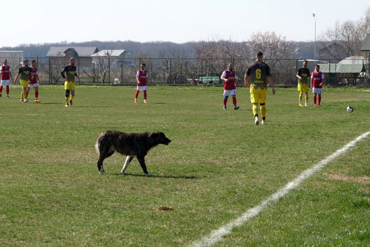 „Jucăm printre tranșee, ca-n război!”. Reportaj GSP la Liga 5, cu fotbal, conducte de gaze și spectatori mascați: „Joacă titulari «Scoică», «Pisică», «Lună», «Buze moi»”