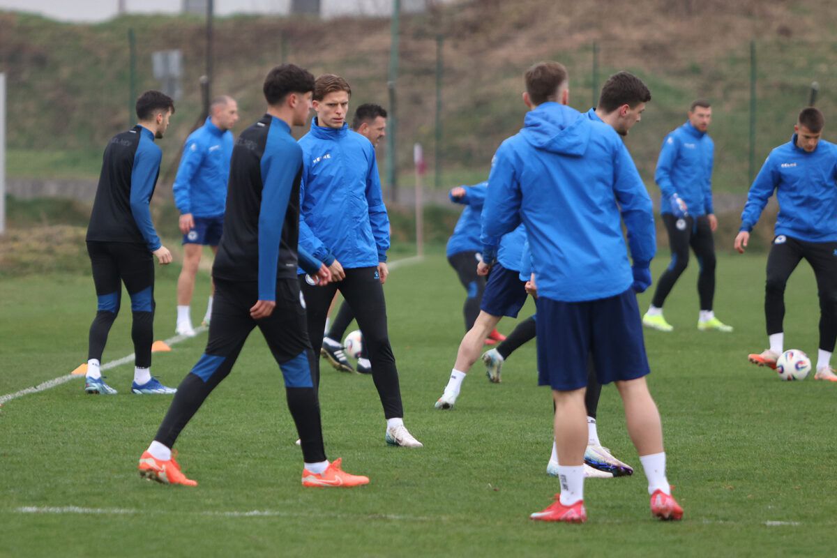 Ce au spus Edin Dzeko și selecționerul Bosniei, Sergej Barbarez, la conferința oficială de la București: „Vă garantăm un lucru”