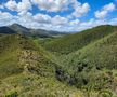 FOTO: Facebook @newcaledoniatourism