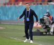 Mirel Rădoi, la FCSB - UTA / FOTO: Cristi Preda (GSP.ro)
