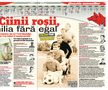 Materialul dedicat de Gazeta Sporturilor dinastiei Nunweiller, în iulie 2013