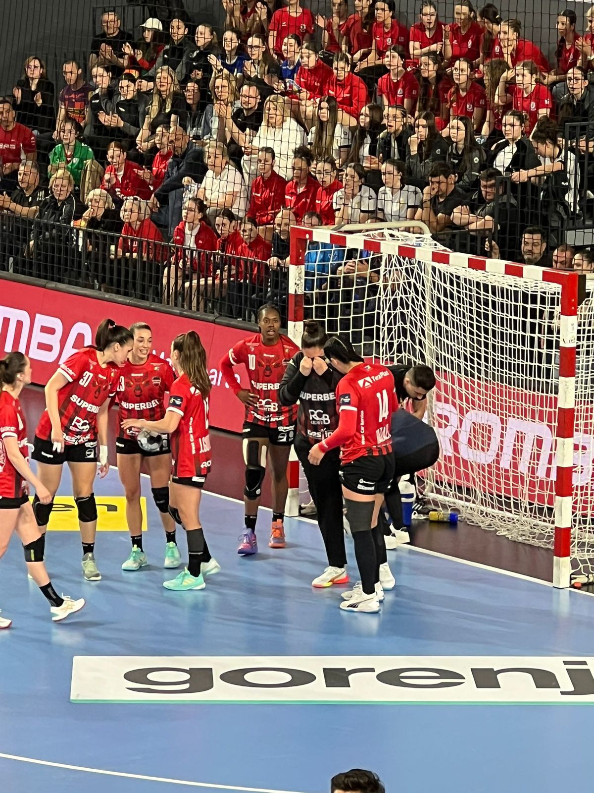 Detaliul impresionant observat în TeraPlast Arena: cum contribuie EHF la educarea fanilor